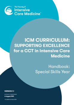 ICM Curriculum SSY Handbook Cover