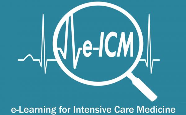 e-ICM logo 2021 Listing Image